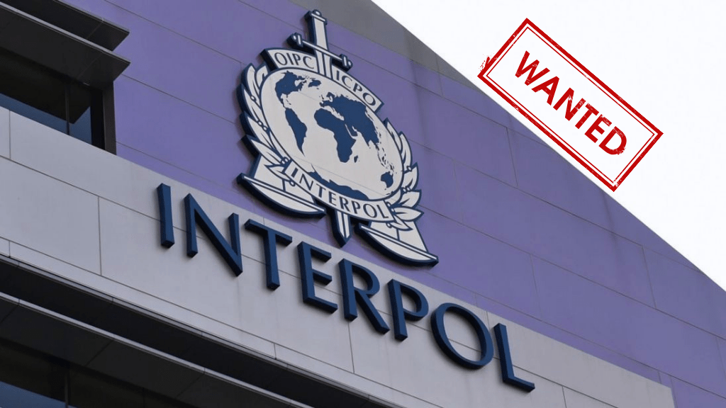 Eight Years Ago, My Fight For Justice in Nigeria&nbsp;Began